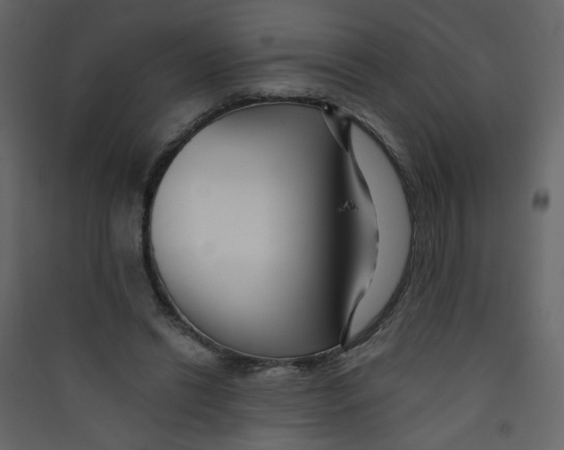 X0000089440446200707131909