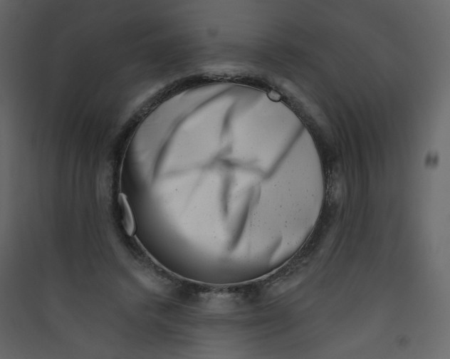 X0000089440448200707131909