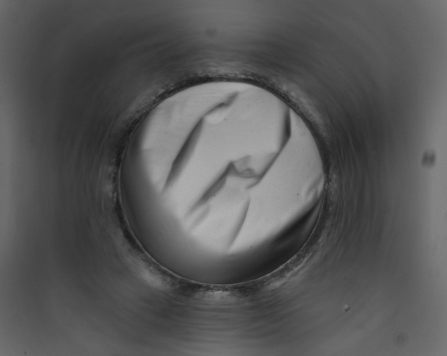 X0000089440449200707131909