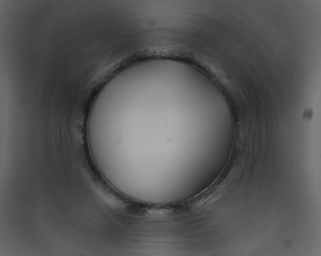 X0000089440450200707131909