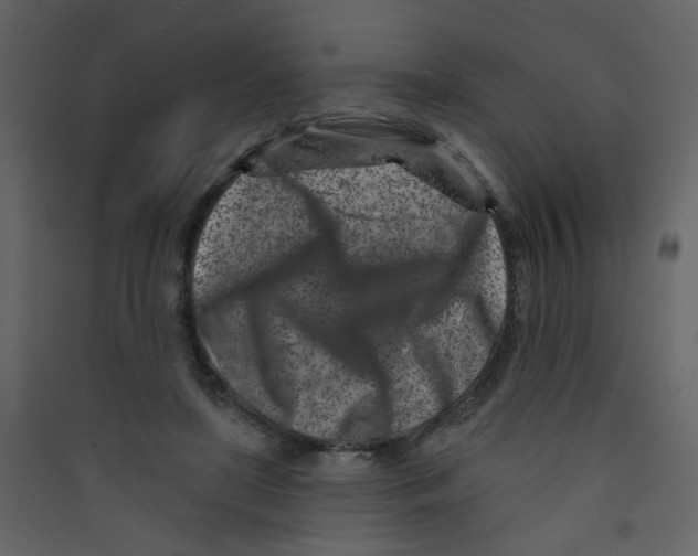 X0000089440451200707131909