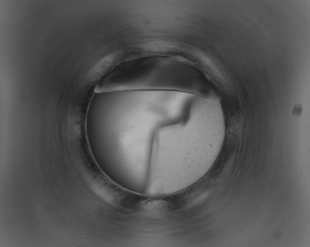X0000089440452200707131909