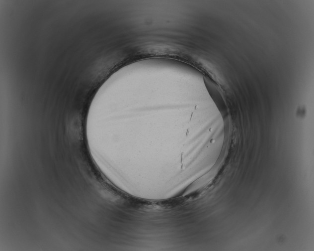 X0000089440453200707131909