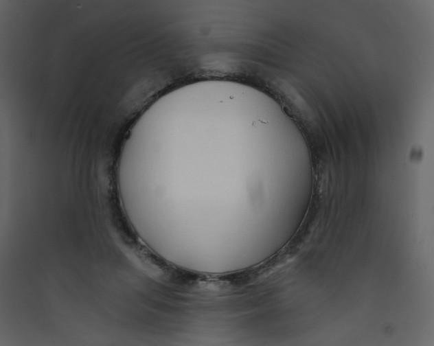 X0000089440455200707131909