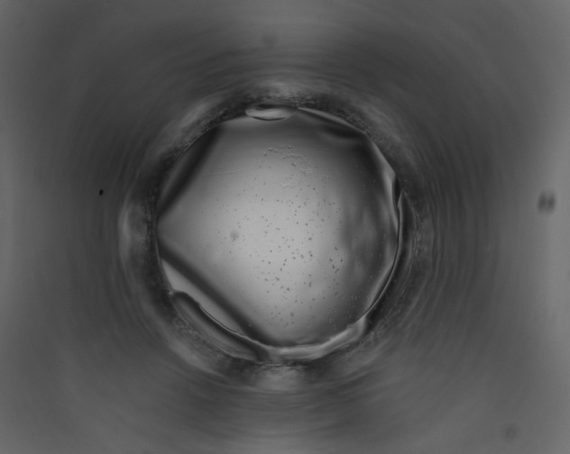 X0000089440456200707131909