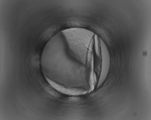 X0000089440457200707131909