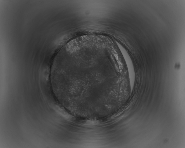 X0000089440458200707131909