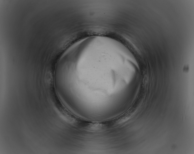 X0000089440459200707131909