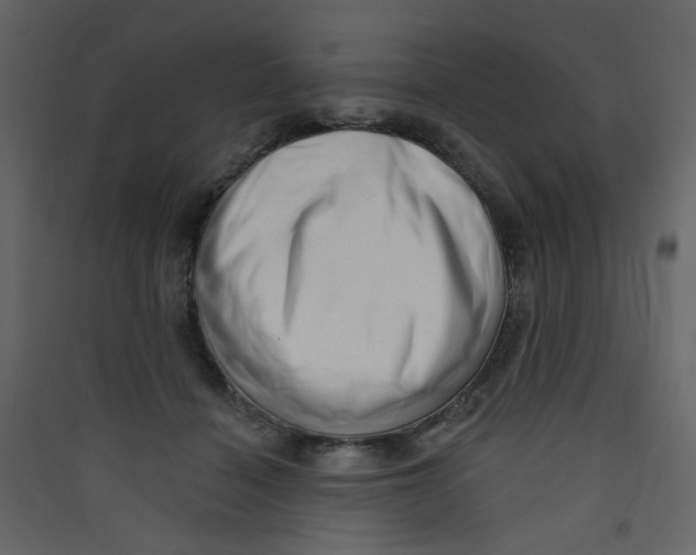 X0000089440460200707131909