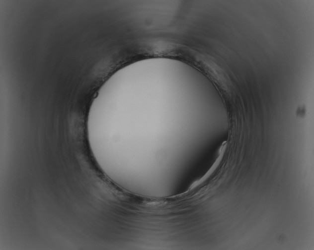 X0000089440461200707131909