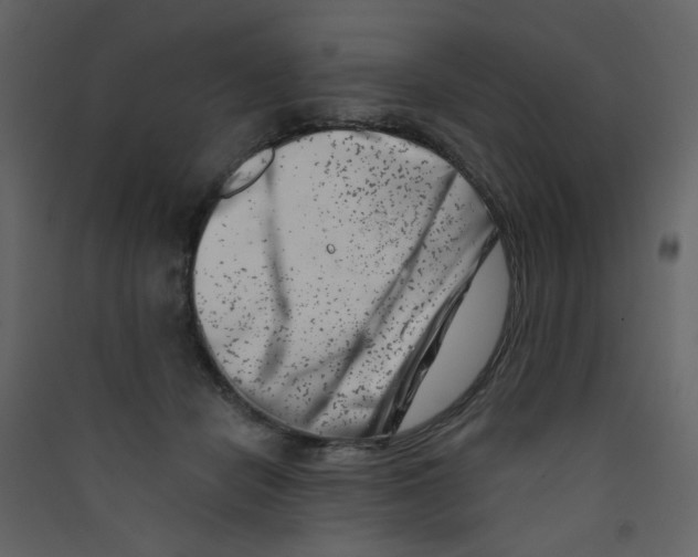 X0000089440462200707131909