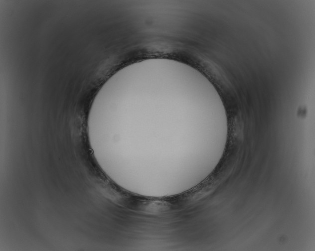 X0000089440463200707131909