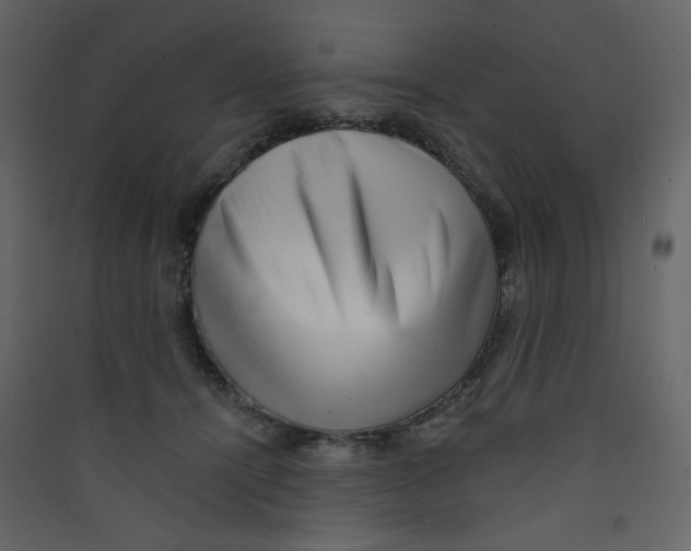 X0000089440464200707131909