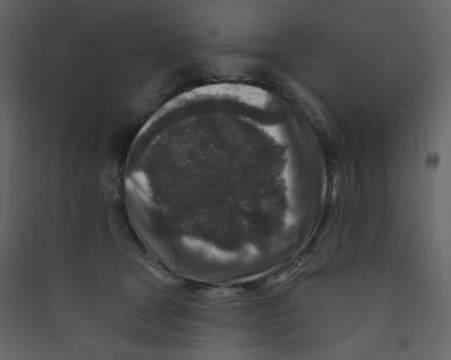 X0000089440465200707131909