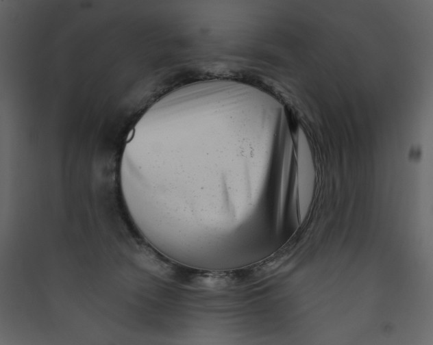 X0000089440466200707131909