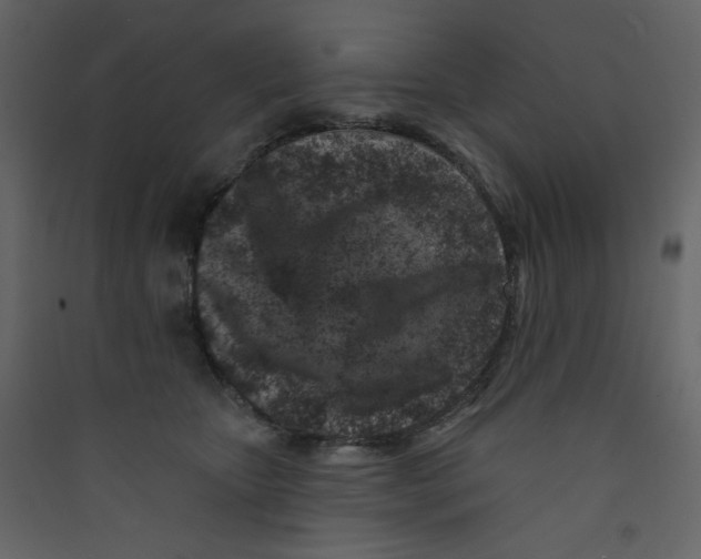 X0000089440467200707131909