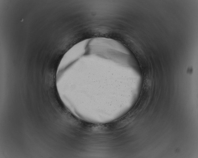X0000089440468200707131909