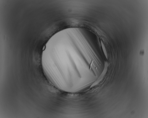 X0000089440469200707131909