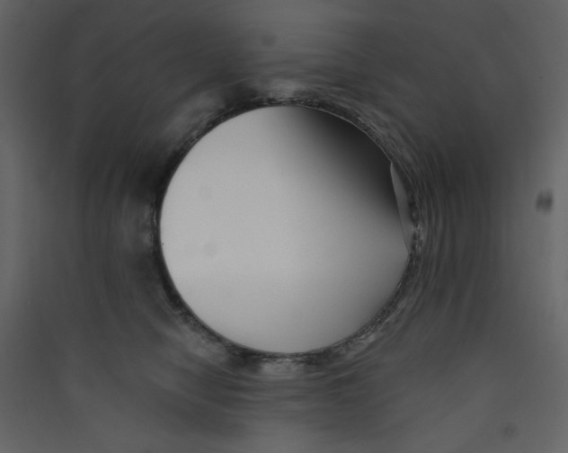 X0000089440470200707131909