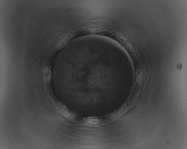 X0000089440471200707131909