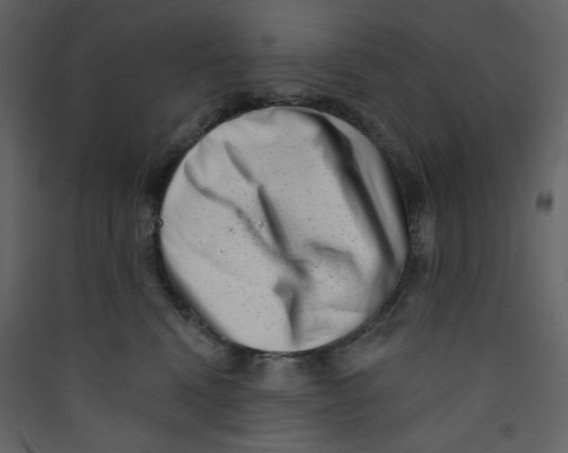 X0000089440472200707131909