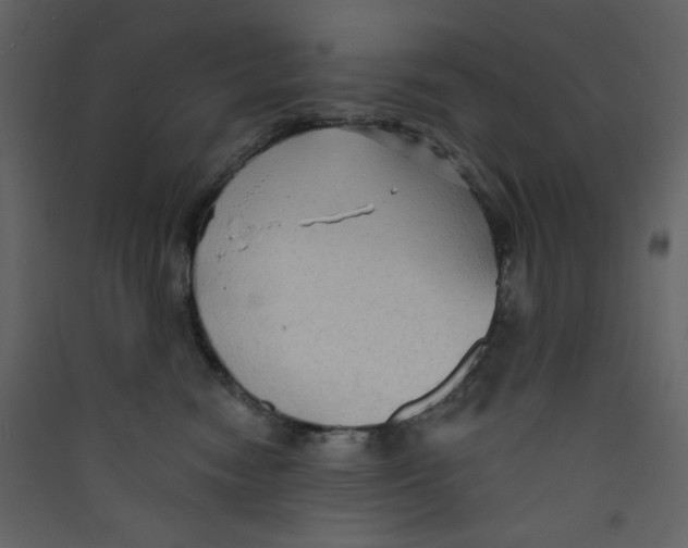 X0000089440474200707131909