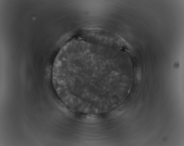 X0000089440475200707131909