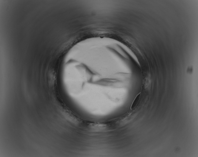 X0000089440476200707131909