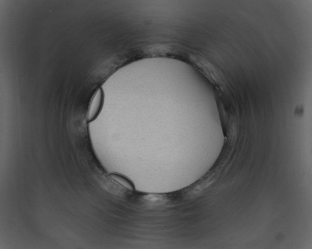 X0000089440477200707131909