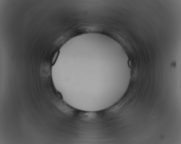 X0000089440478200707131909
