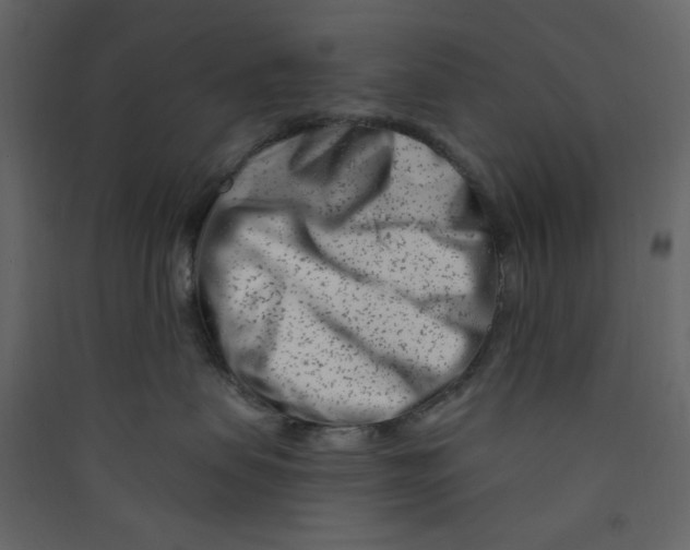X0000089440479200707131909