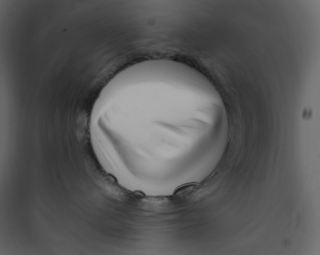 X0000089440480200707131909