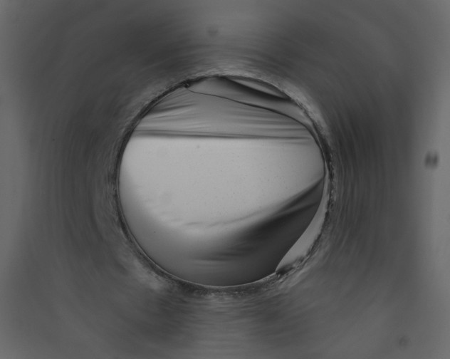 X0000089440481200707131909