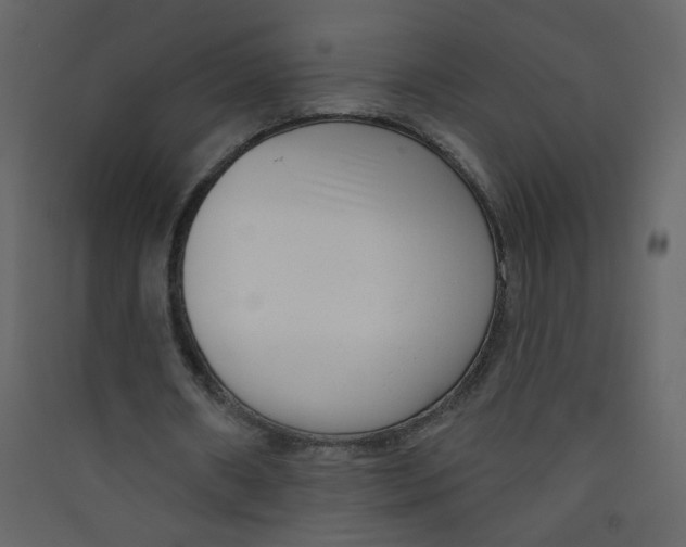 X0000089440482200707131909