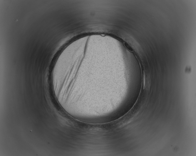 X0000089440483200707131909