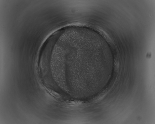 X0000089440484200707131909
