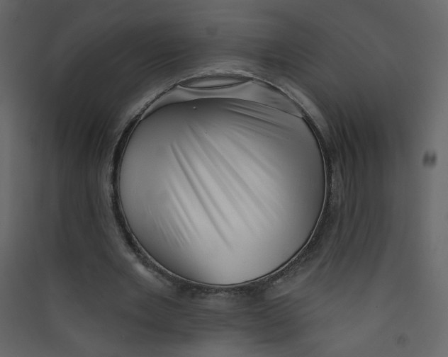 X0000089440485200707131909