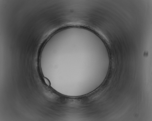 X0000089440486200707131909