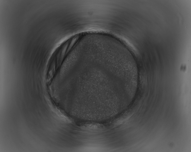 X0000089440488200707131909