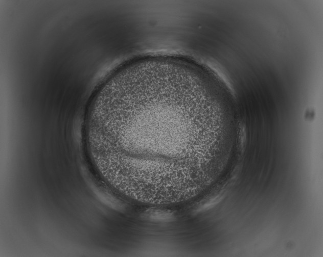 X0000089440491200707131909