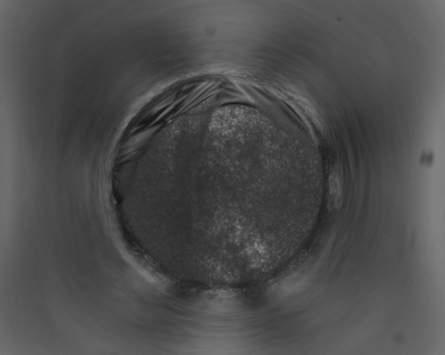 X0000089440492200707131908