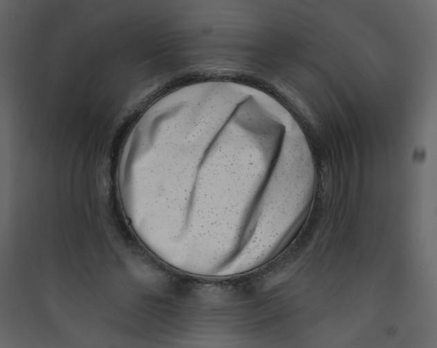 X0000089440494200707131908