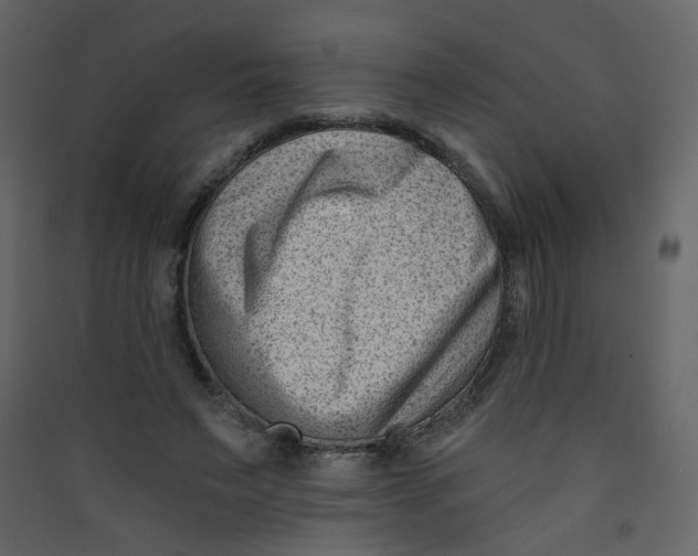 X0000089440495200707131908