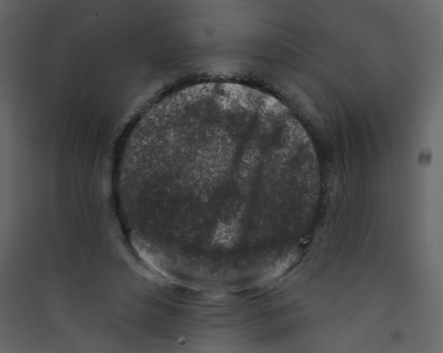 X0000089440496200707131908
