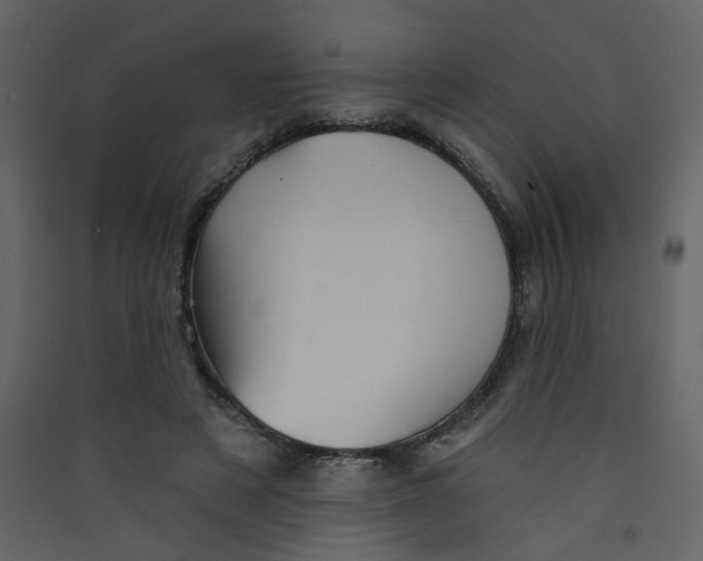 X0000089440497200707131908