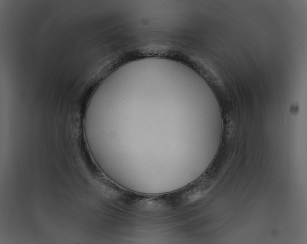 X0000089440498200707131908