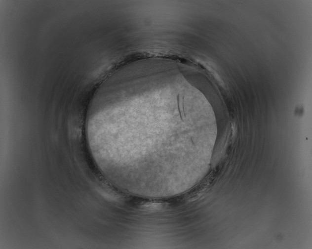 X0000089440499200707131908