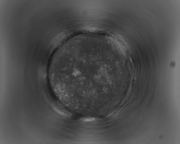 X0000089440500200707131908
