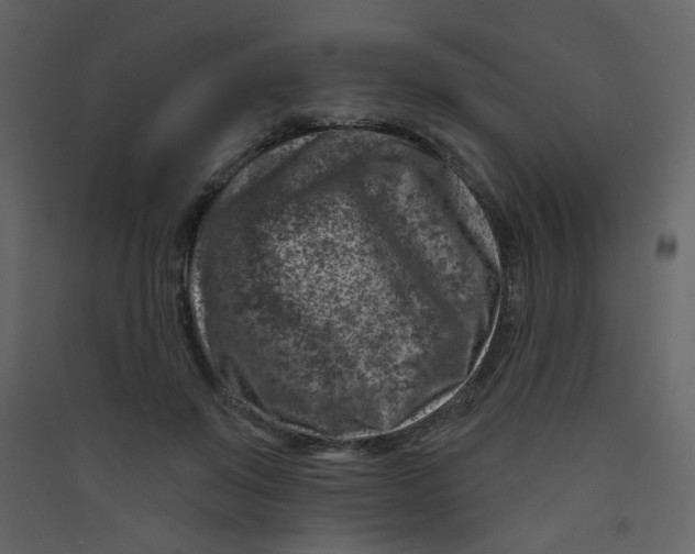 X0000089440503200707131908