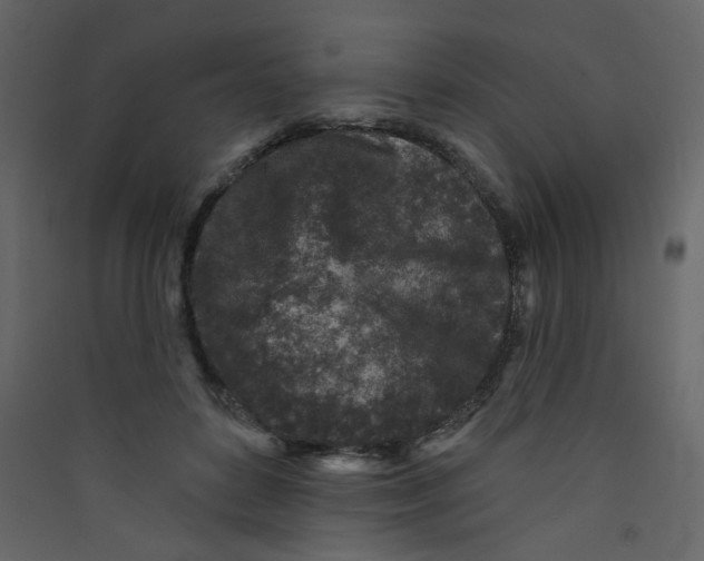 X0000089440504200707131908